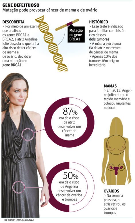 Plano Feminino