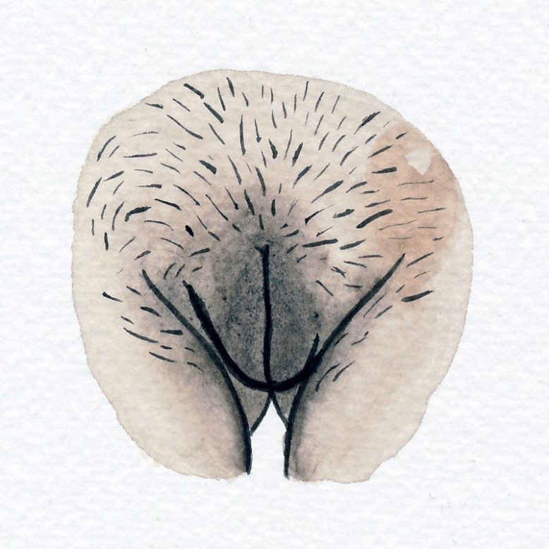 Plano Feminino